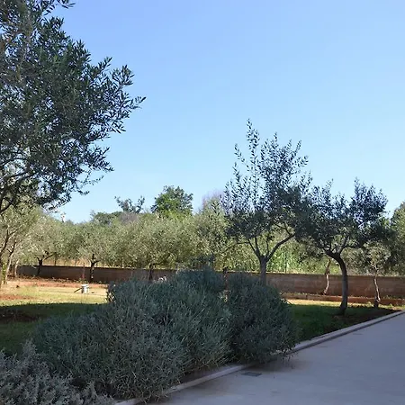 Appartement Roza Medulin