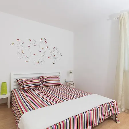 Apartman Roza Medulin