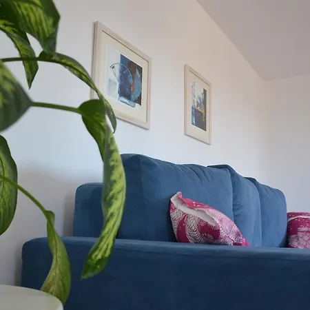 Apartment Roza Medulin
