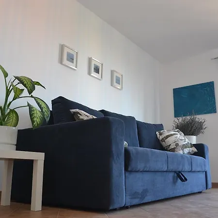 Apartment Roza Medulin