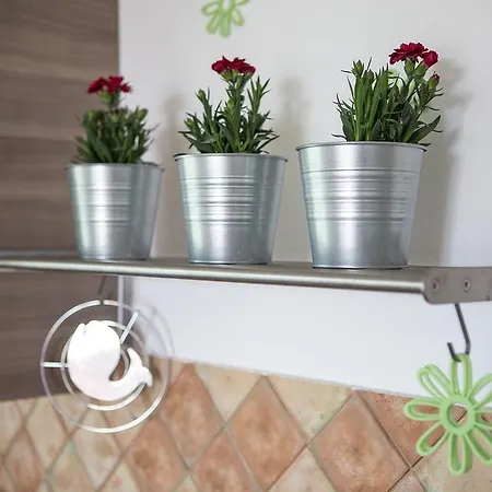 Apartament Roza *