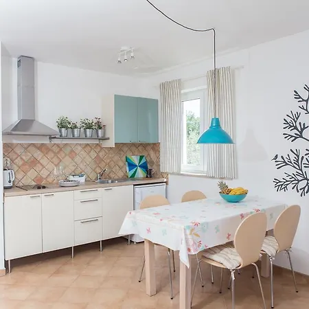 Roza Apartment Medulin